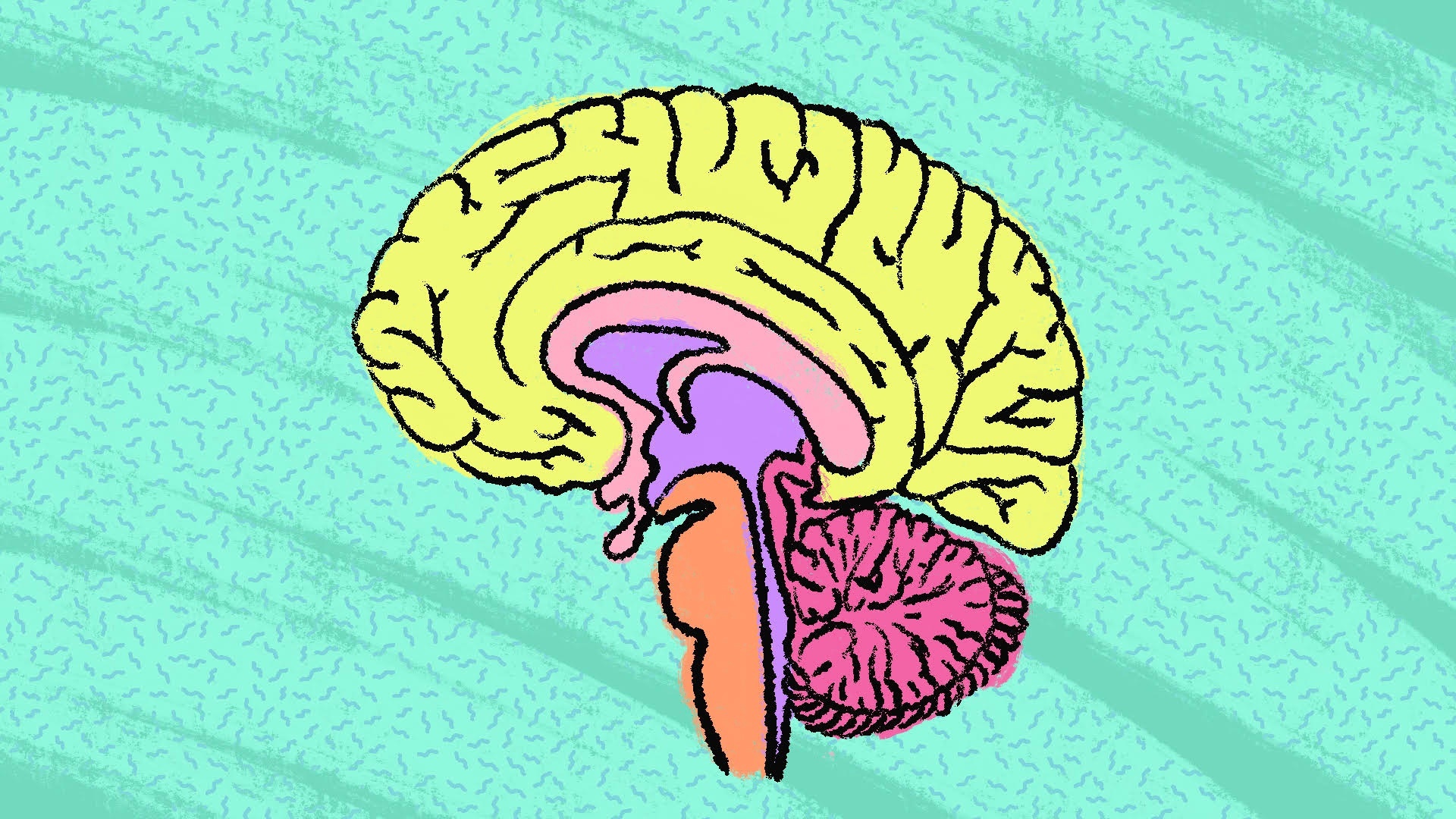 Neuroscience and The Frontier of Trauma Treatment (7 Languages Available)